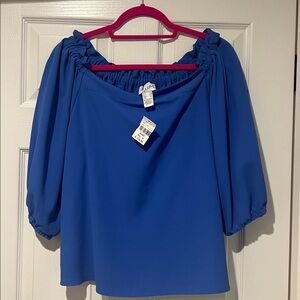Sophie Rue Vibrant Blue Top
